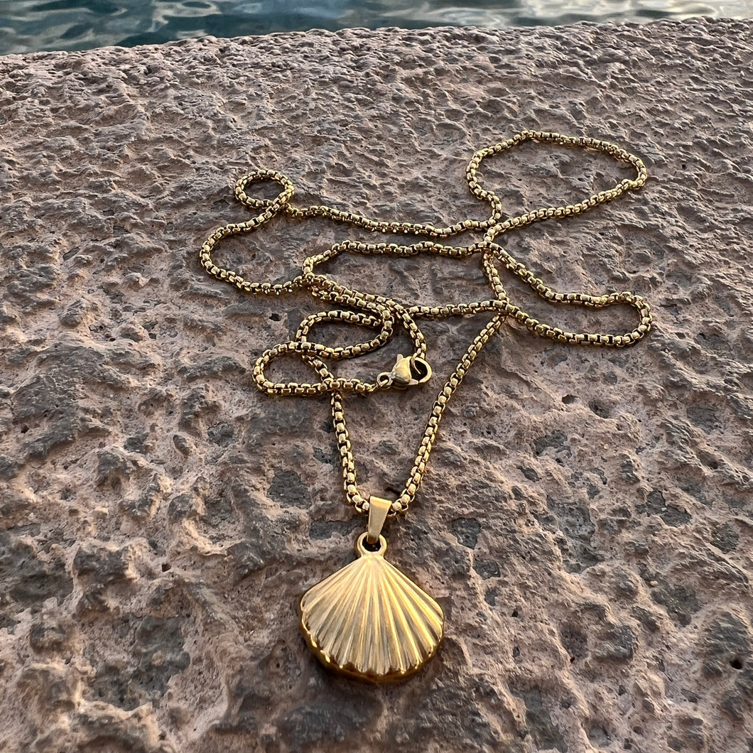 Collar Concha